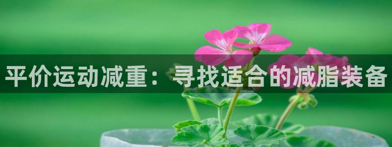 fb体育集团官网首页:平价运动减重:寻找适合的减脂装备