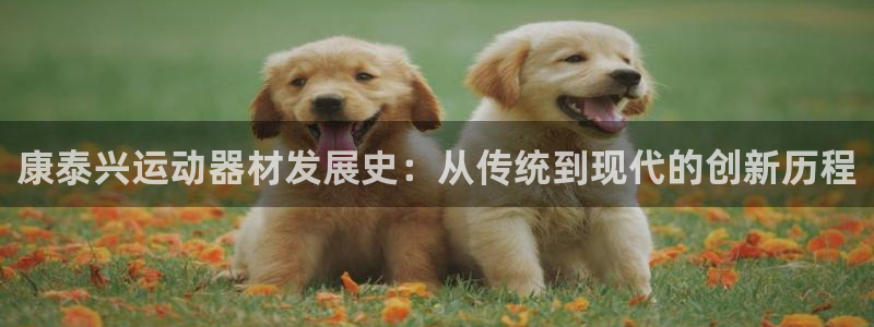 fb体育集团官网网址:康泰兴运动器材发展史:从传统到现代的创