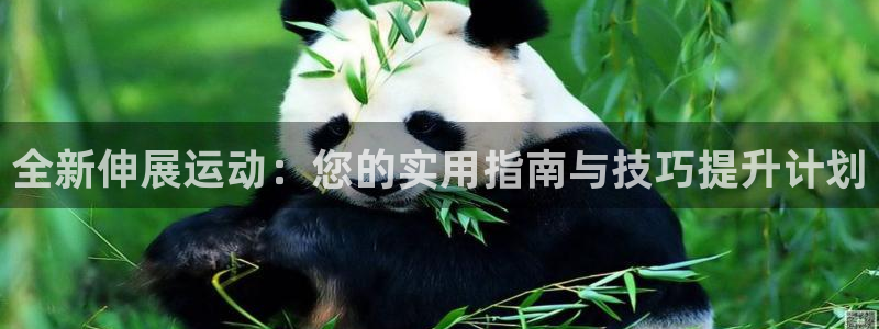 注册fb体育:全新伸展运动:您的实用指南与技巧提升计划